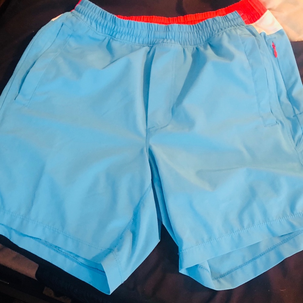 Bird dogs (workout/casual/swim)